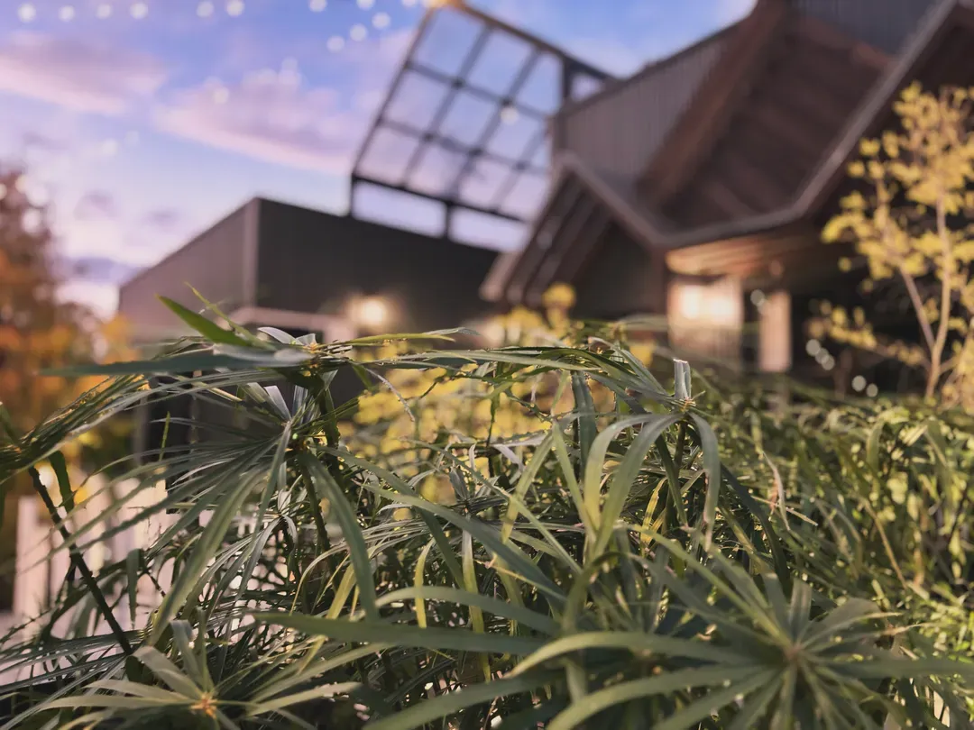 INSTAY隱呆民宿|獨立房型、大庭院＆大草皮 | 埔里