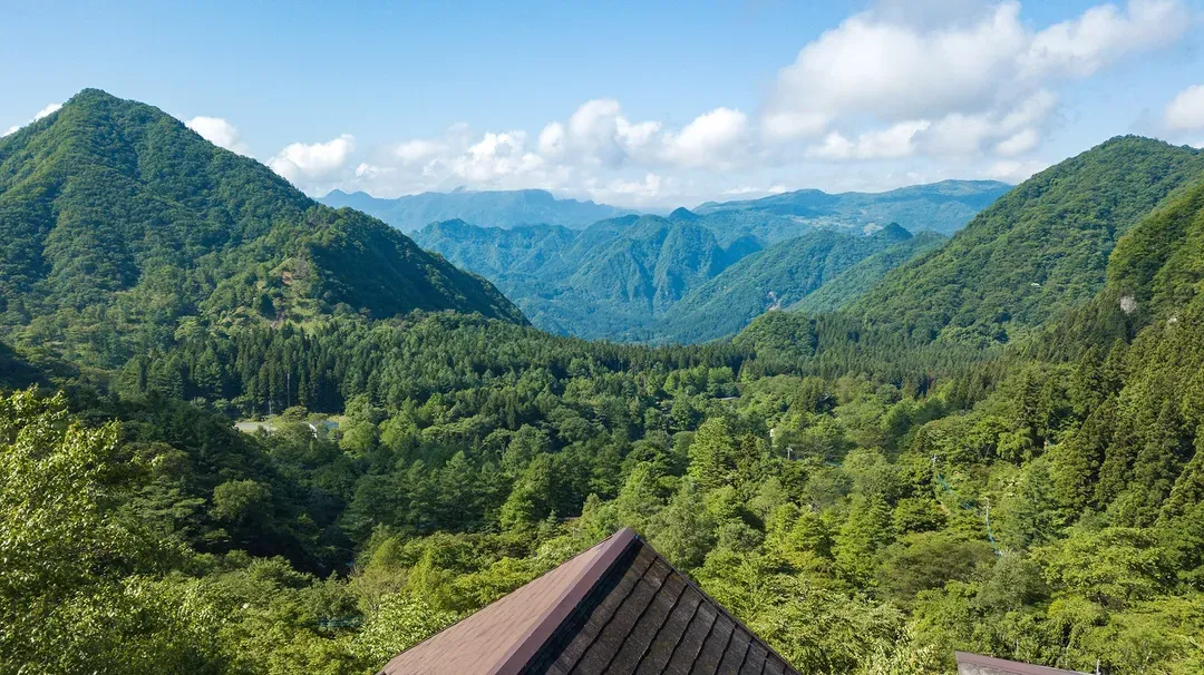 森莊別墅-18