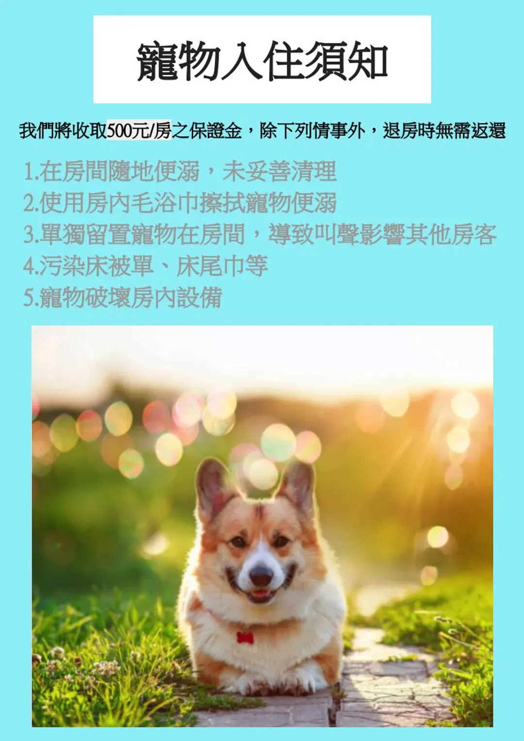 海芸旅人窩｜緊鄰海灘、近東大門夜市、寵物友善