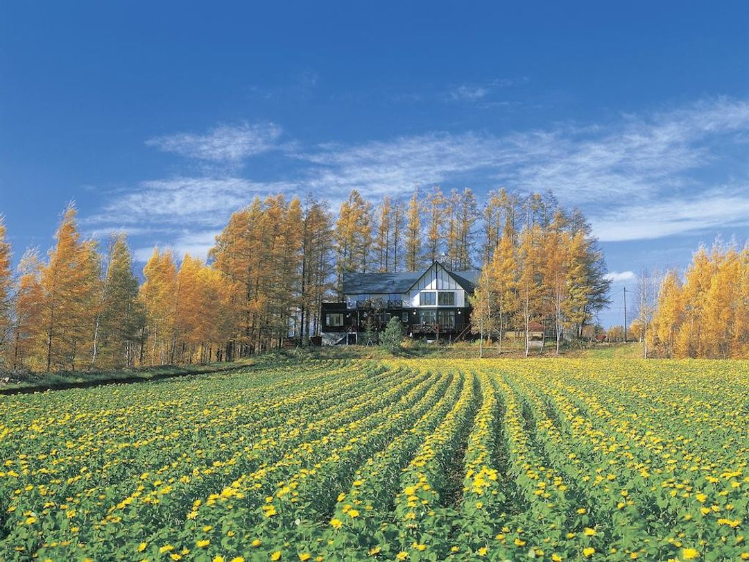 Adagio Hokkaido