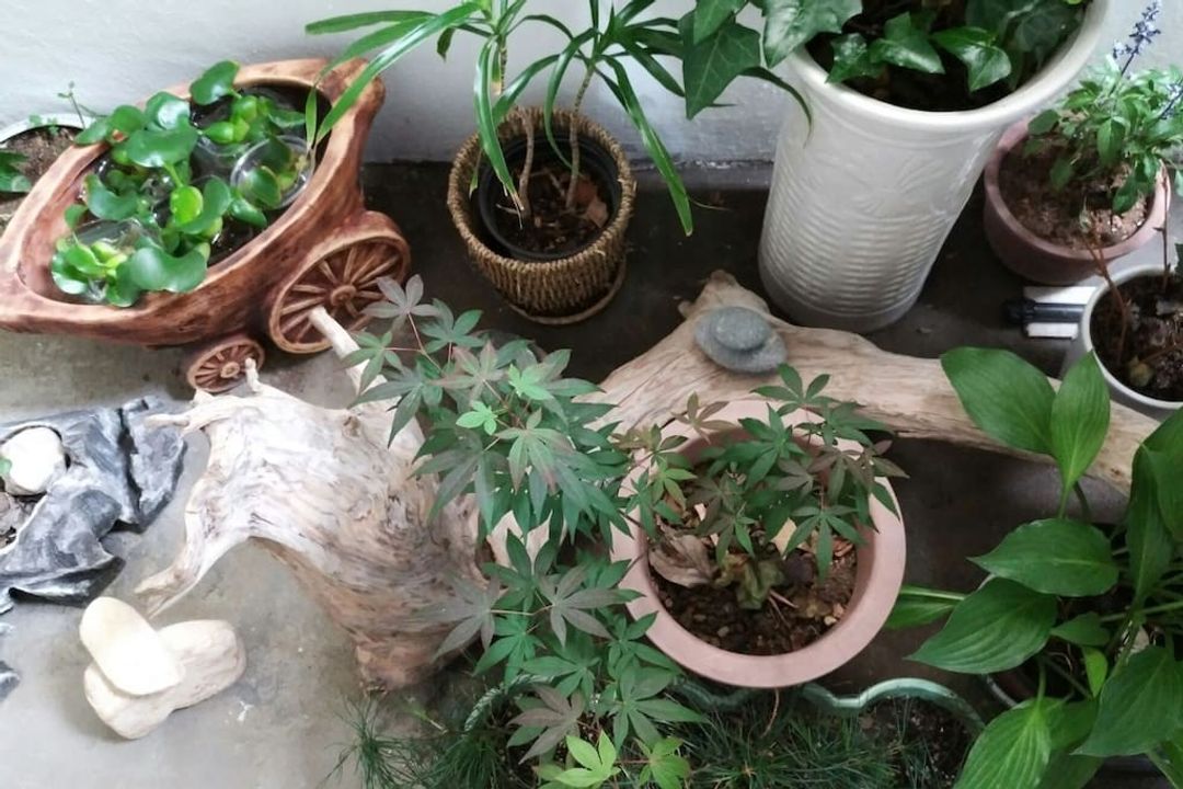 舒適房子｜近東大邱站 主人親切 多房間適合團體出遊）-9