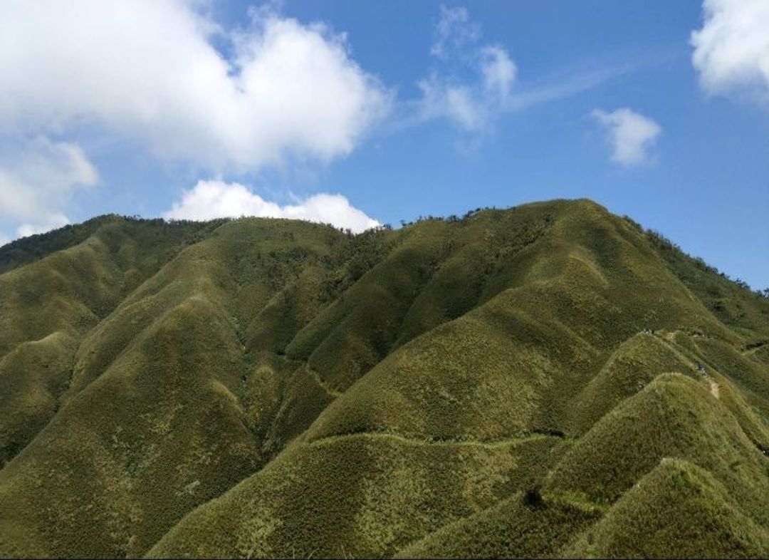 最美的抹茶山