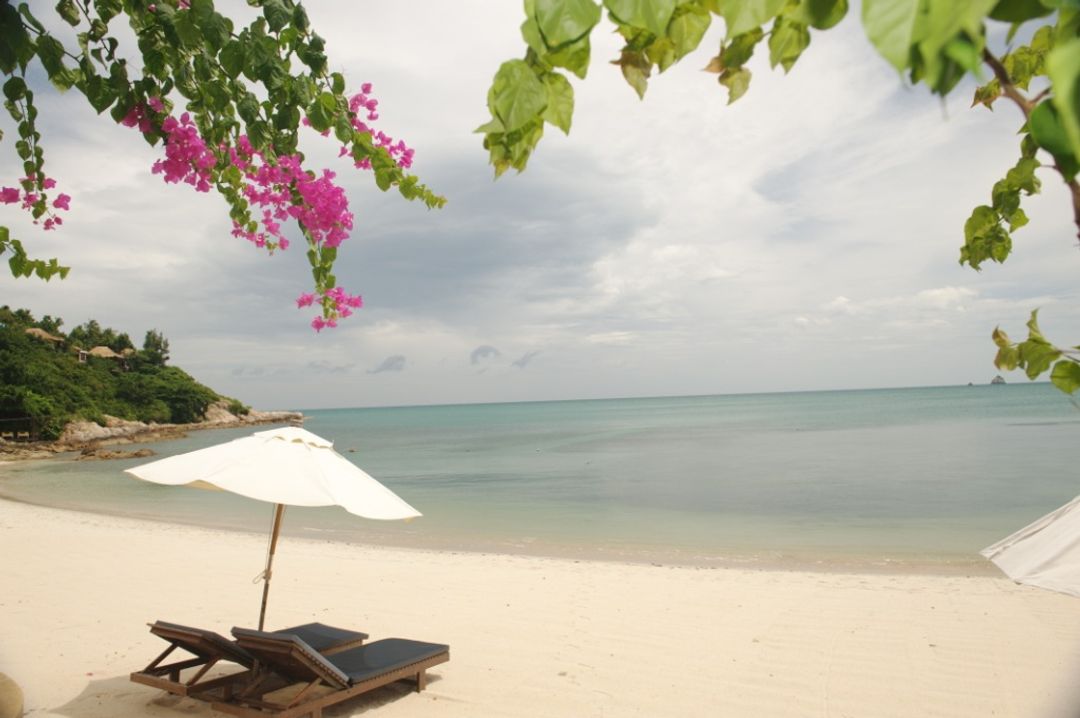 蘇梅田園度假酒店（Idyllic Samui Resort）