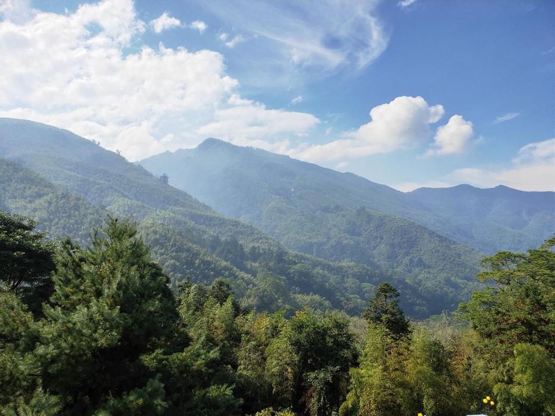 金台湾山庄 l 南投独立木屋房型 | 溪头仲夏萤火虫