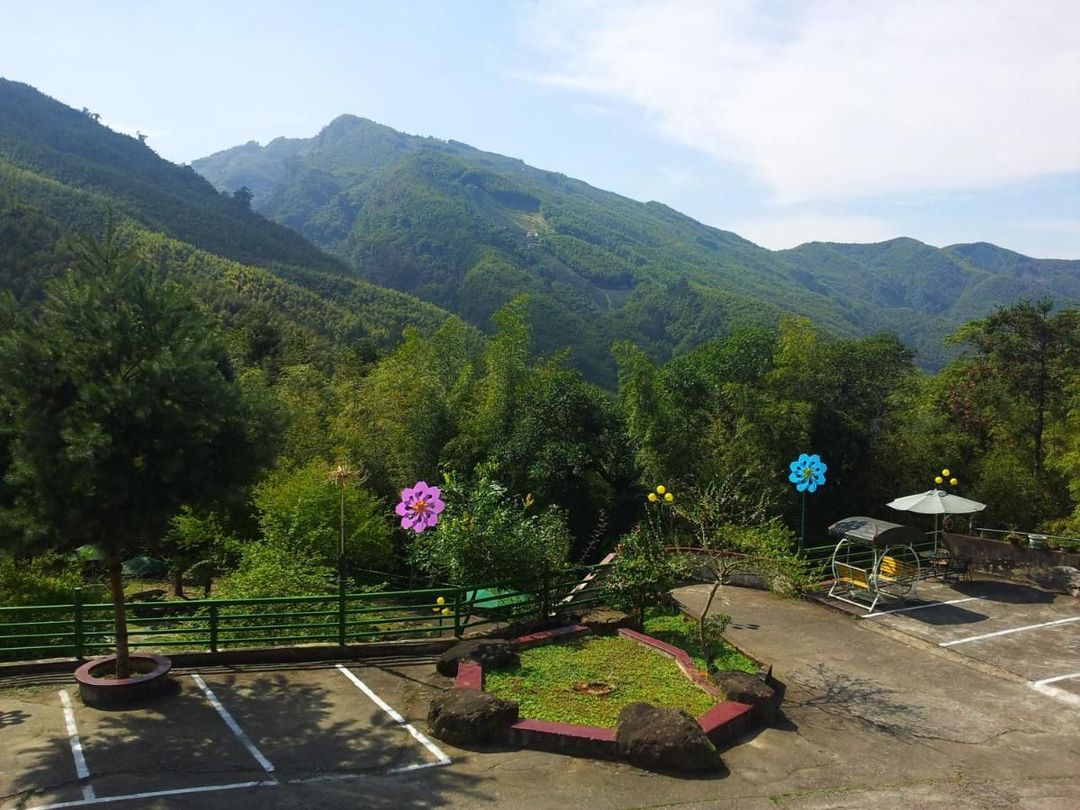 金台湾山庄 l 南投独立木屋房型 | 溪头仲夏萤火虫