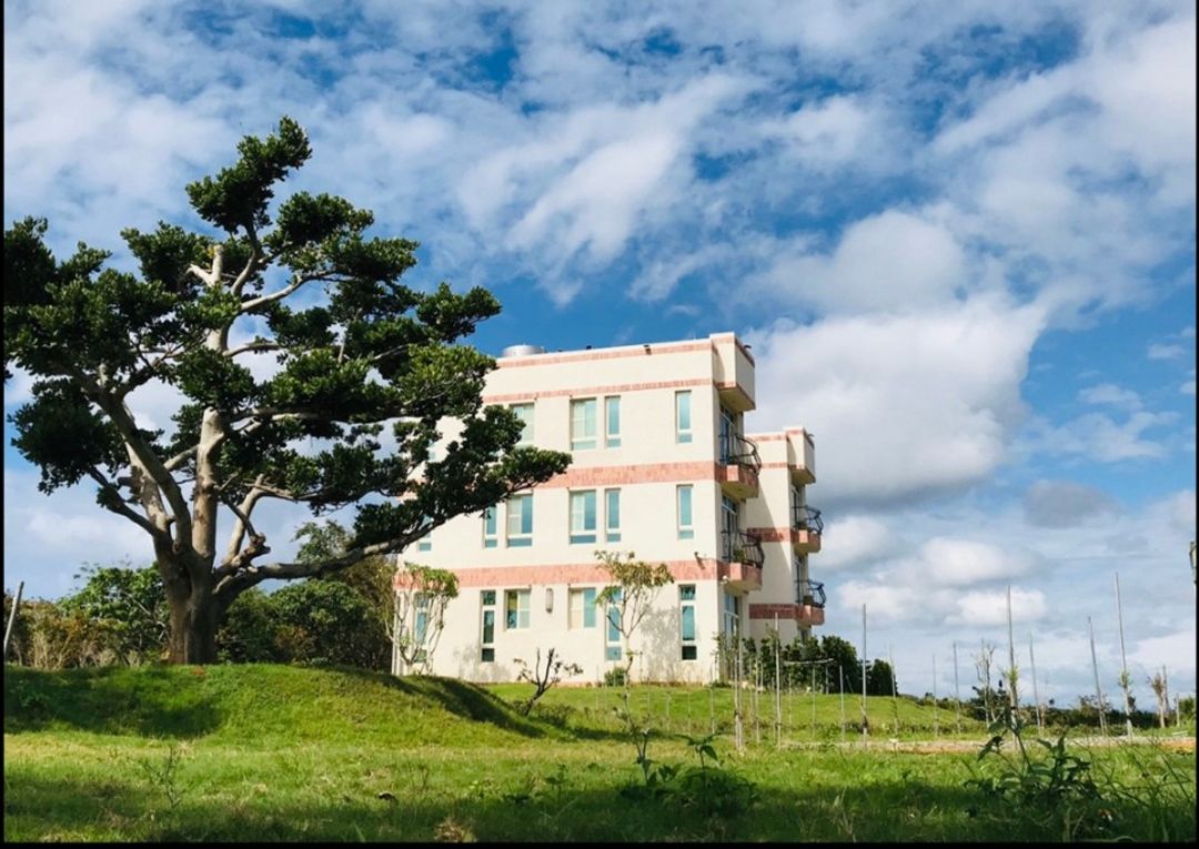外觀