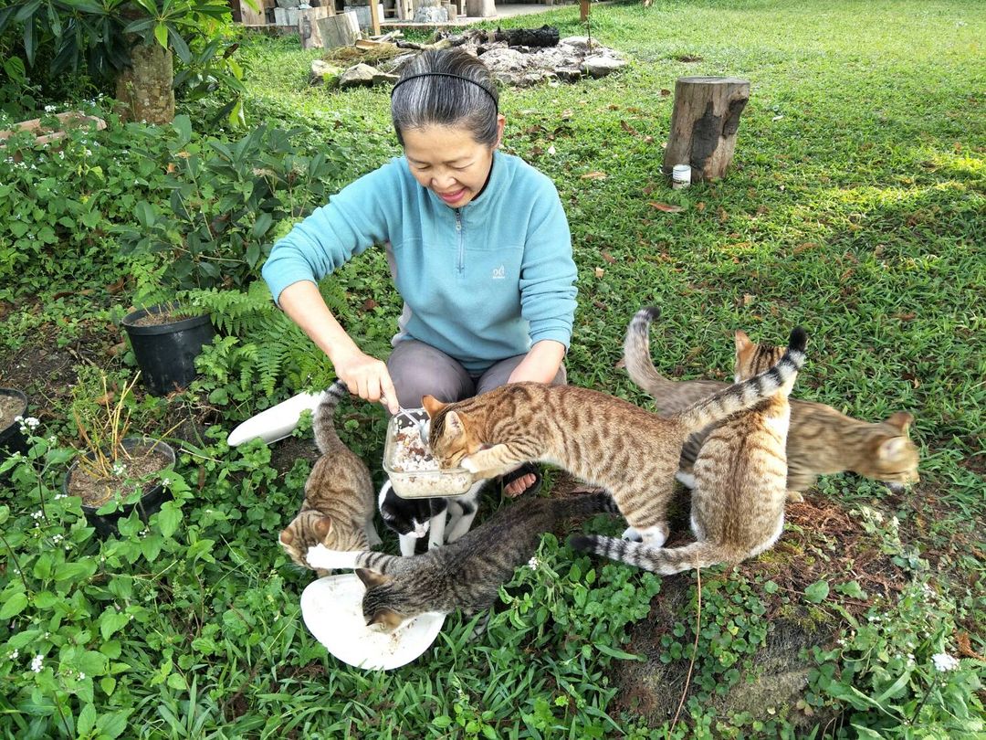 Doris Forest Homestay-13