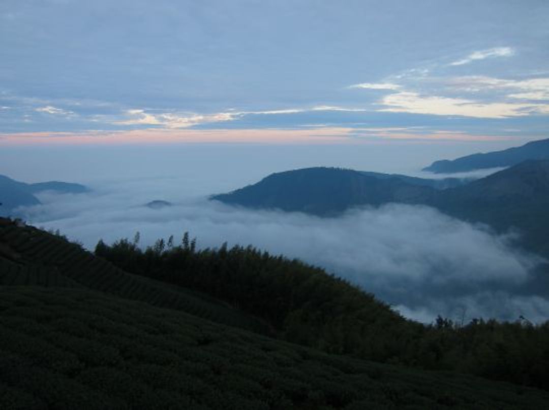 Doris Forest Homestay-4