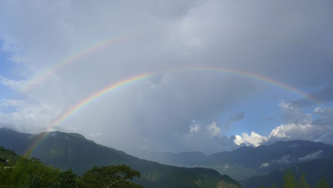 Alishan Teahomestay-5