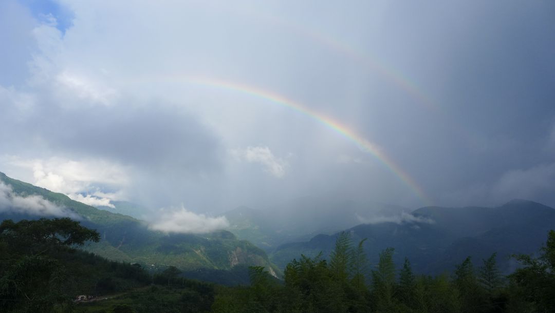 Alishan Teahomestay-4