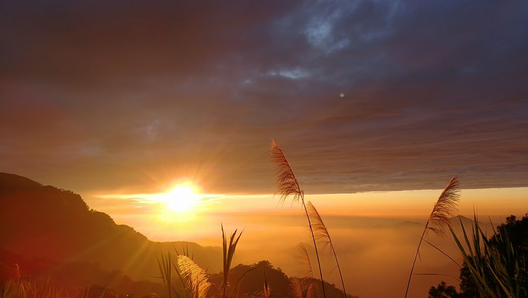 Alishan Teahomestay-2