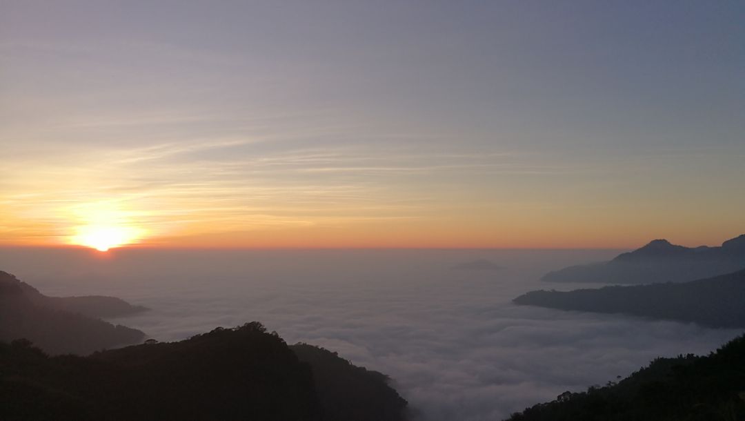 Alishan Teahomestay-1