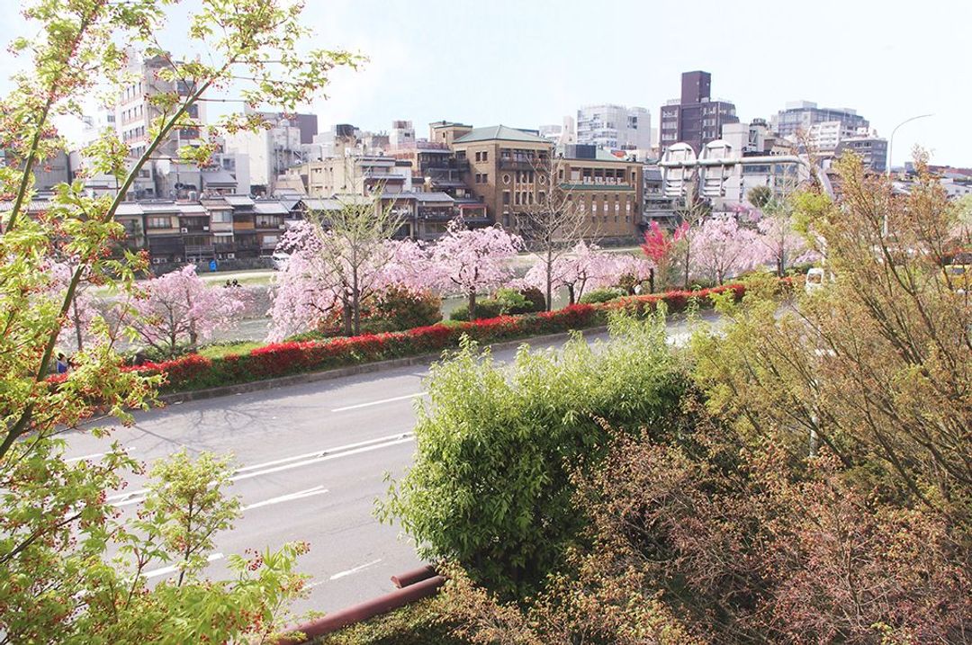 The view of the KAMO river. You can feel every season. 窓からは鴨川を眺めていただけます。夏には床が並びます。