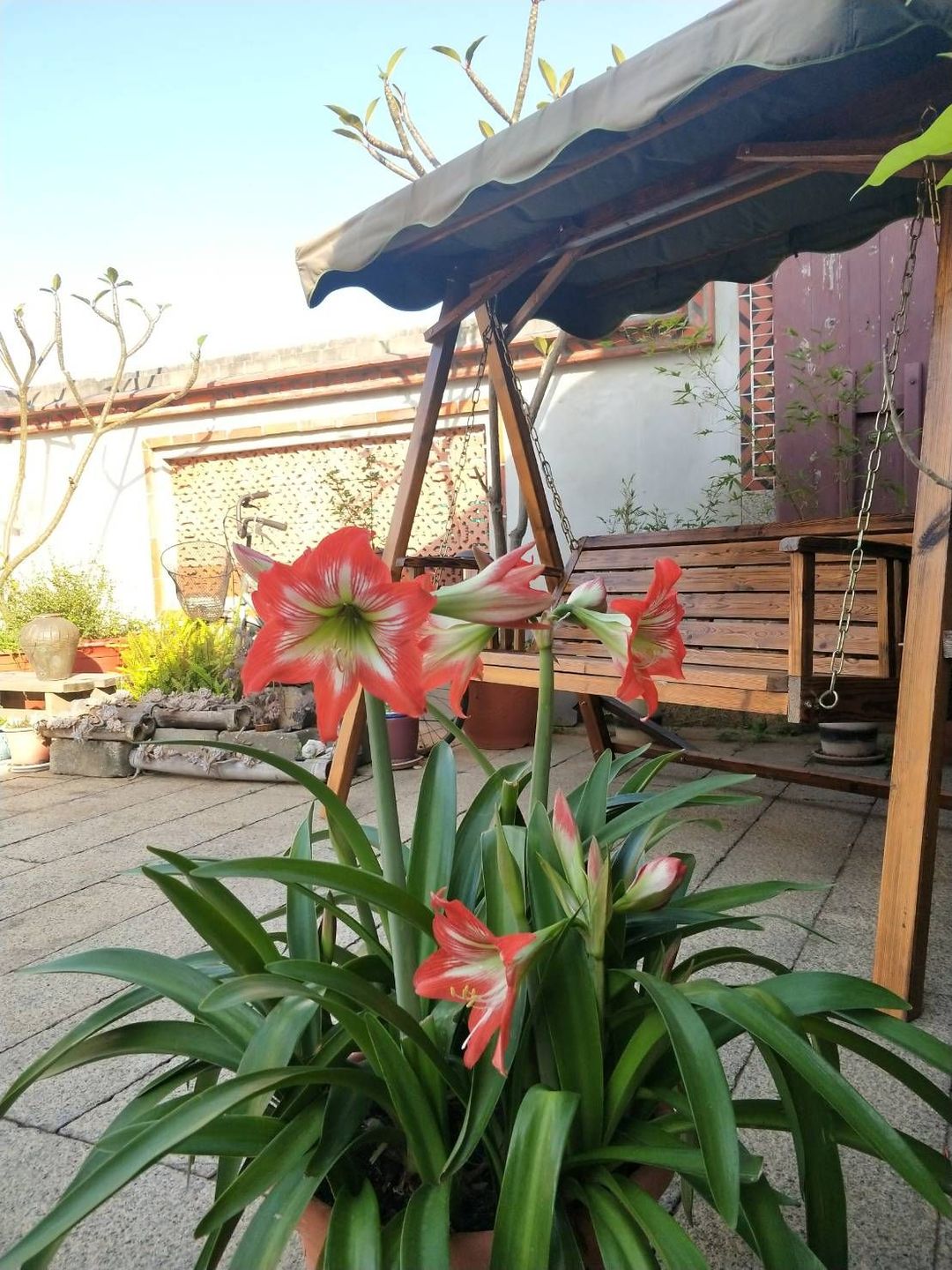 Xiehui'er Homestay Collection