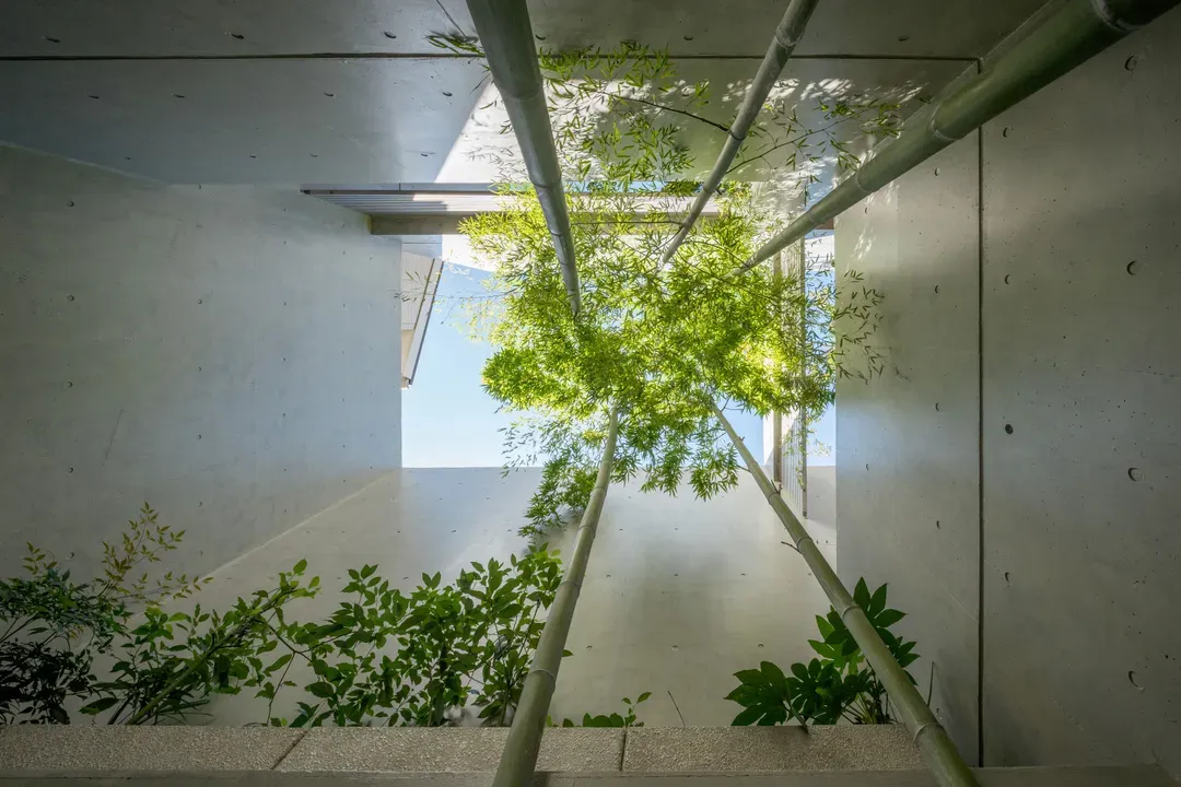 Tokyo No.1 B & B-Designed by a well-known Japanese architect / 500M²  / Superior villa in the center of Tokyo Minato / Free parking
