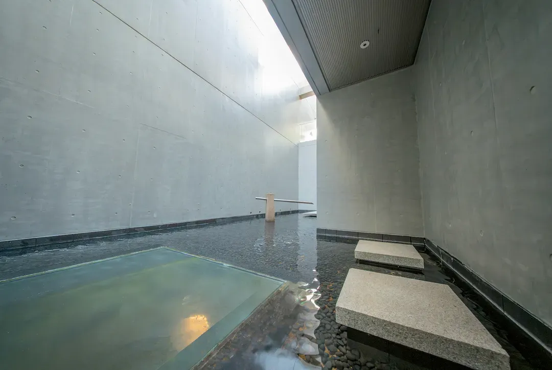 Tokyo No.1 B & B-Designed by a well-known Japanese architect / 500M²  / Superior villa in the center of Tokyo Minato / Free parking