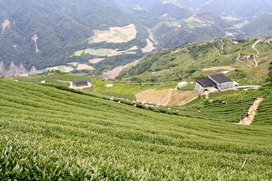 The best yurt accommodation in the stream-Cingjing-12