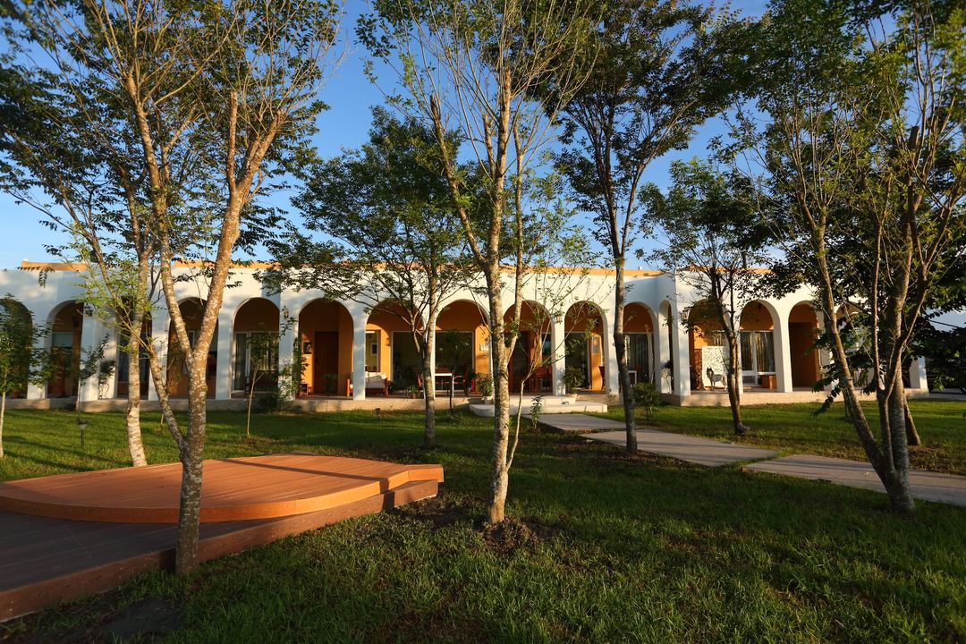 focacia BNB