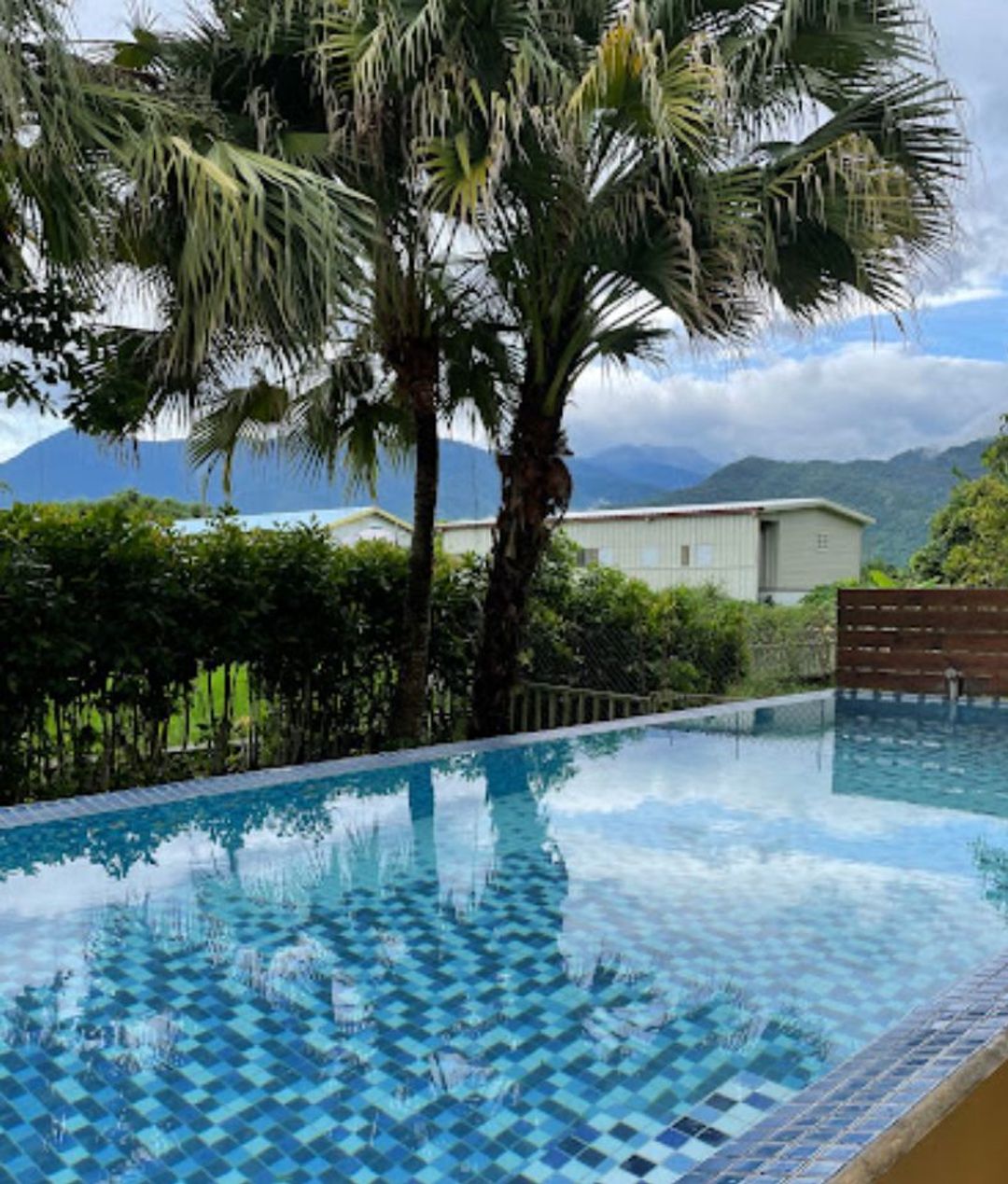 focacia BNB