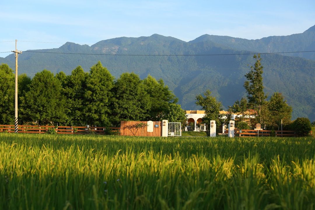focacia BNB