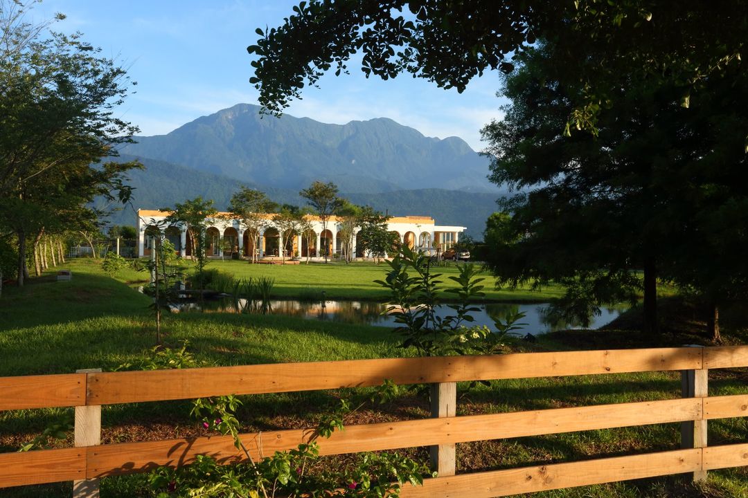 focacia BNB