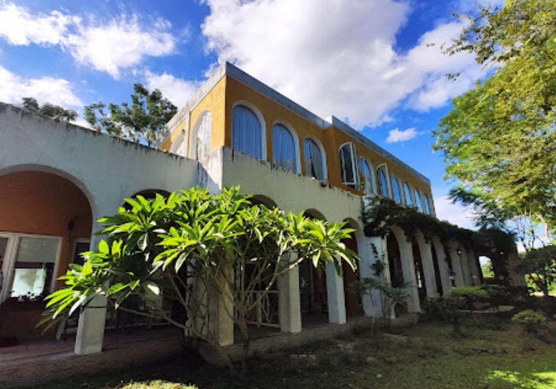 focacia BNB