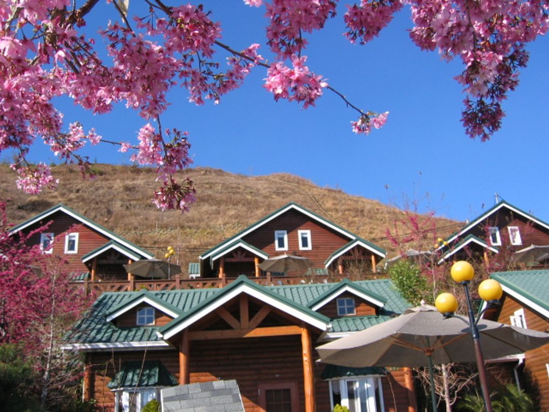 清境豐田桂林休閒山莊民宿-2