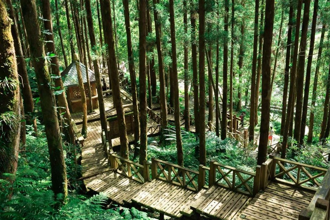 Lili Majiao Ecological Park｜Mingchi Villa