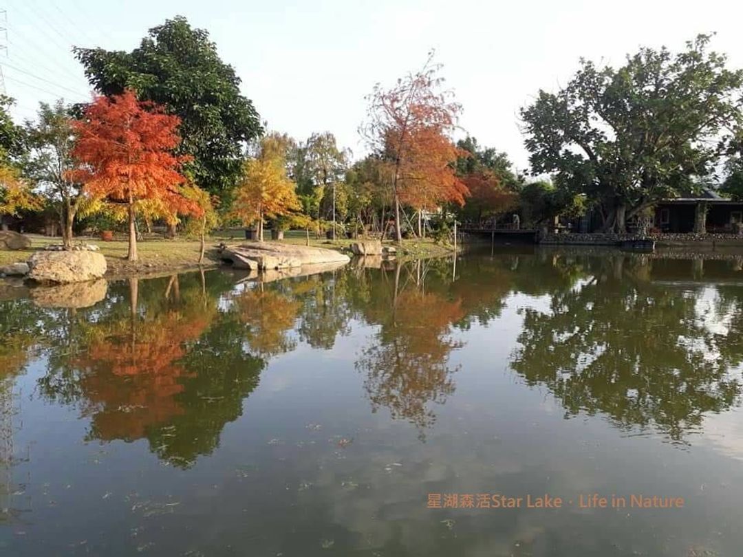 星湖森活 | 8-15人宜蘭包棟 | 森林湖畔x鐵件DIY家具 | 冬山鄉梅花湖休閒農業區