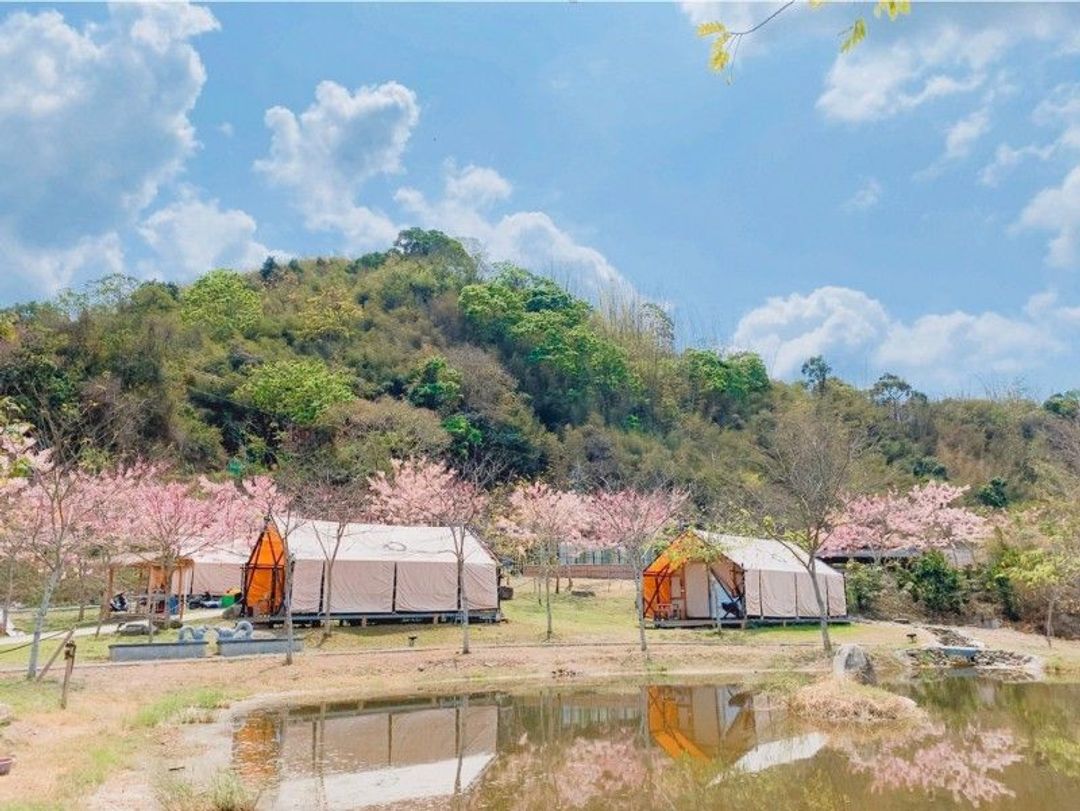 远山望月温泉露营区｜9/6前入住送$1199晚餐、美人汤屋、露营车