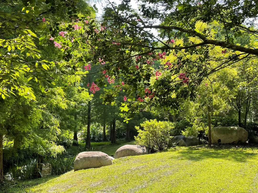 埔里慎重開華莊園民宿-8