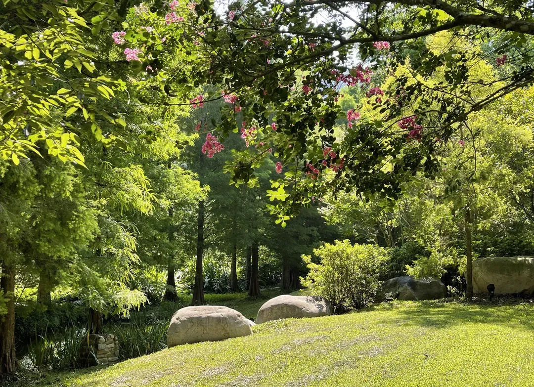 埔里慎重開華莊園民宿-17