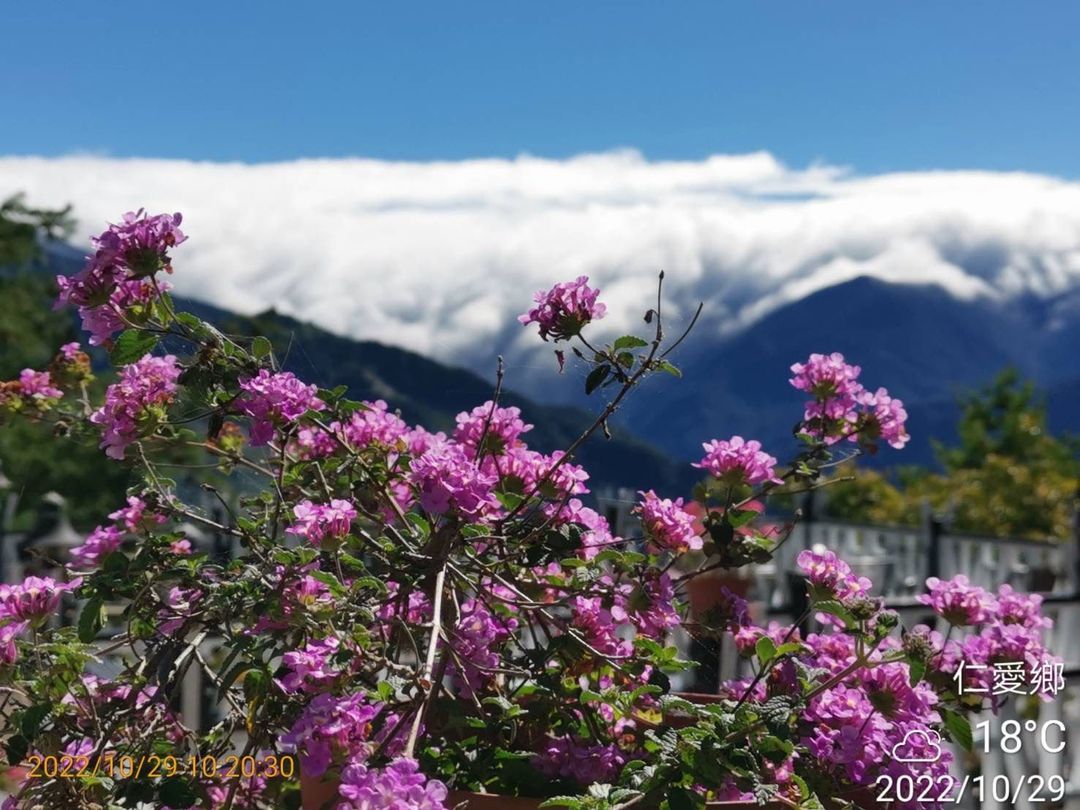 清境娜噜弯渡假景观木屋民宿
