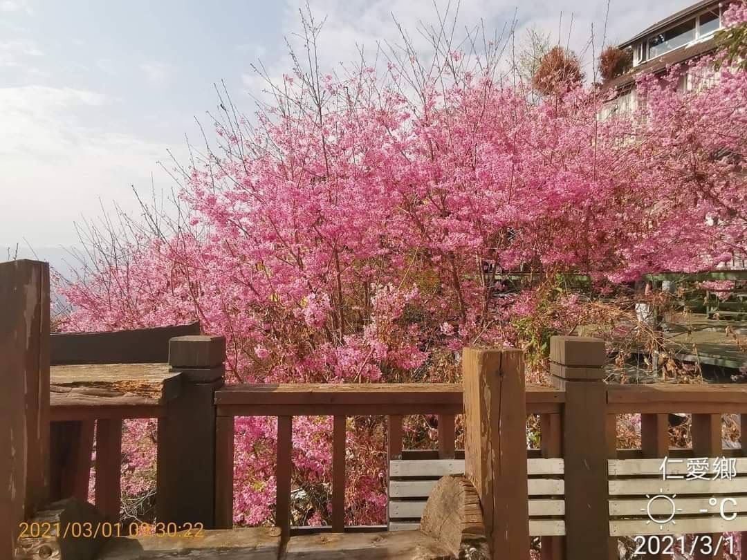 清境娜噜弯渡假景观木屋民宿