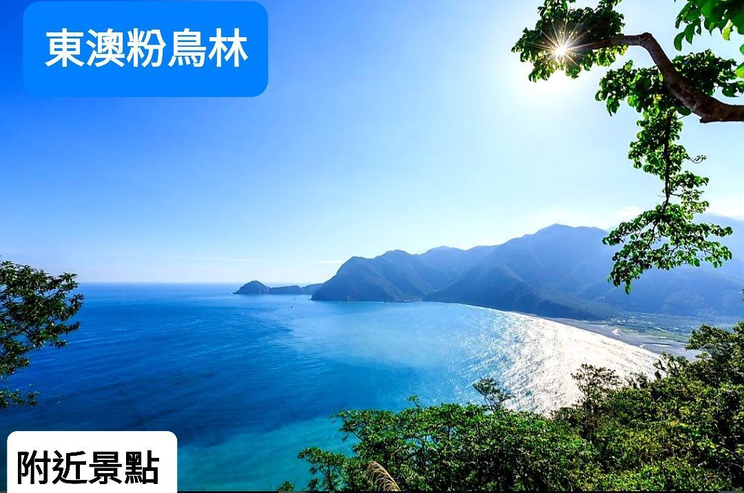 麗宿金鑽-12