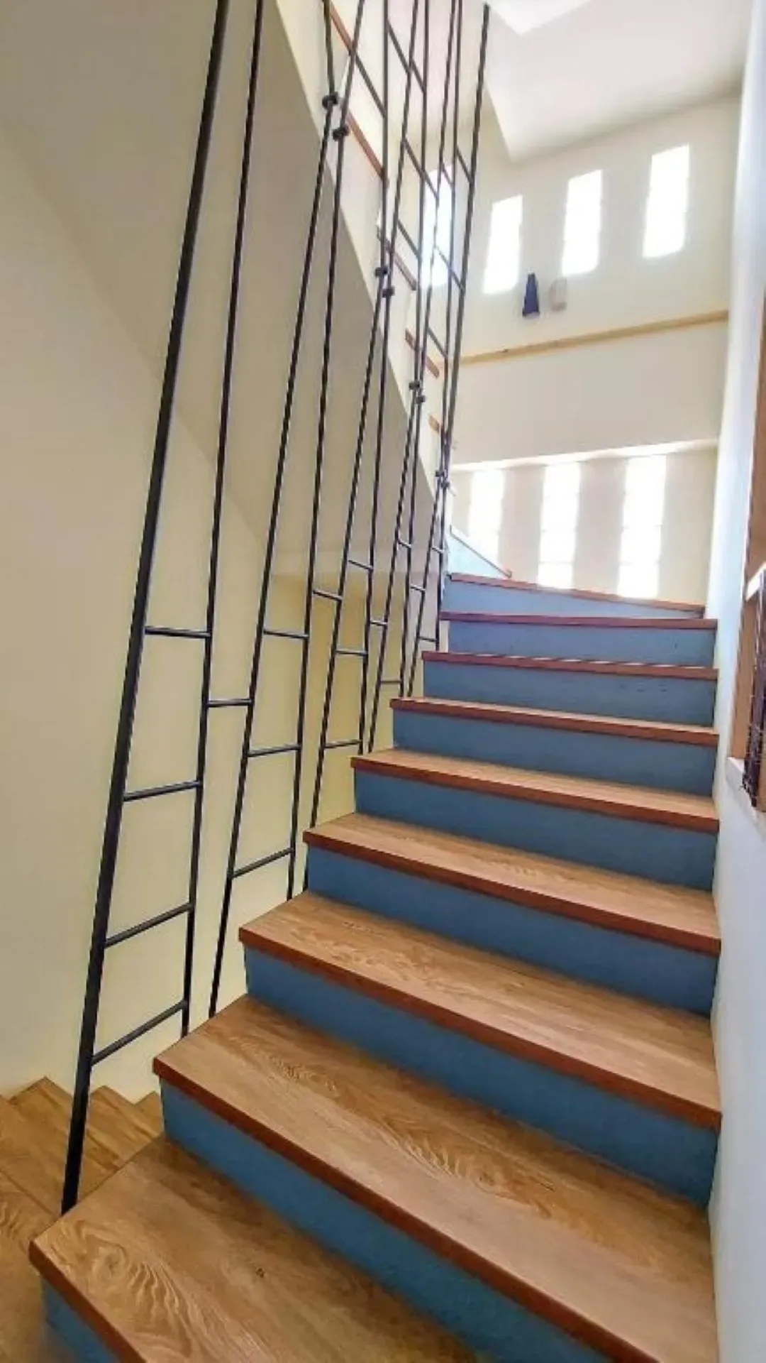 Fish Pointy B&B-7