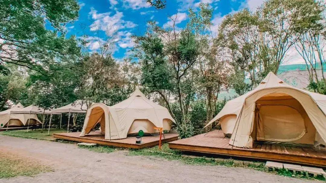 YCC Forest Campsite