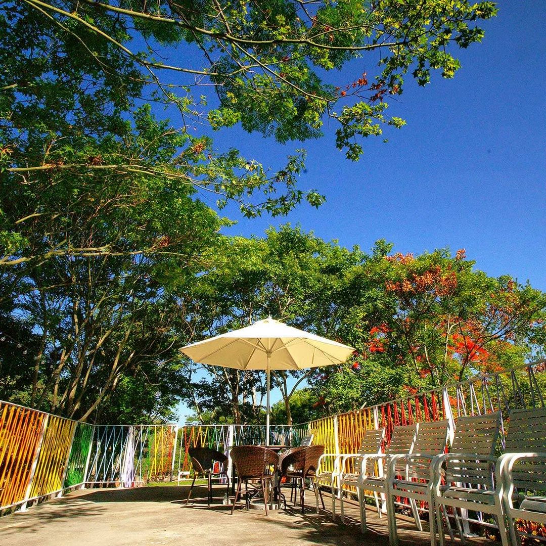 YCC Forest Campsite