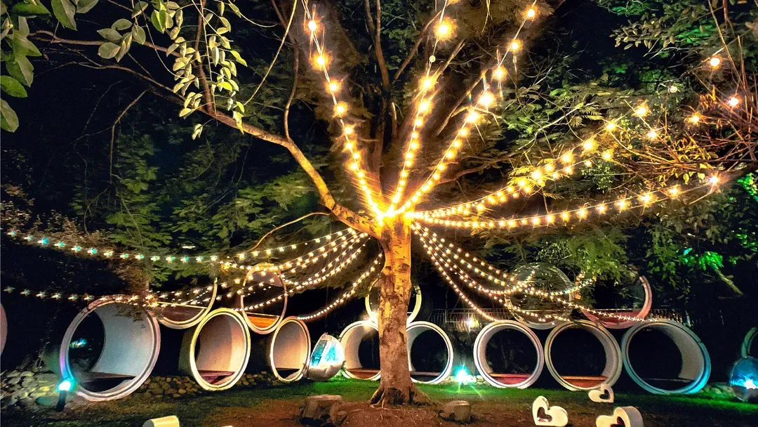 YCC Forest Campsite