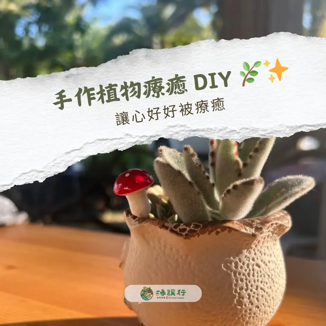 漫聚时光森林营地｜独家8折起！全新帐篷、独立卫浴、宠物友善