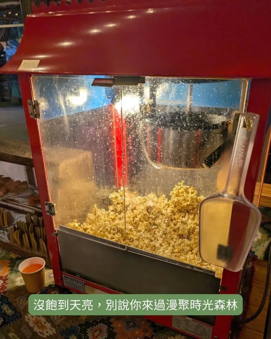 漫聚时光森林营地｜独家8折起！全新帐篷、独立卫浴、宠物友善