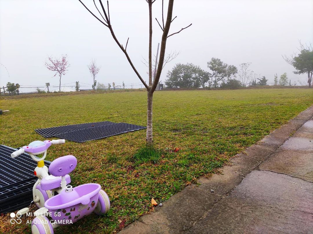 Sheliaojiao Camping Area