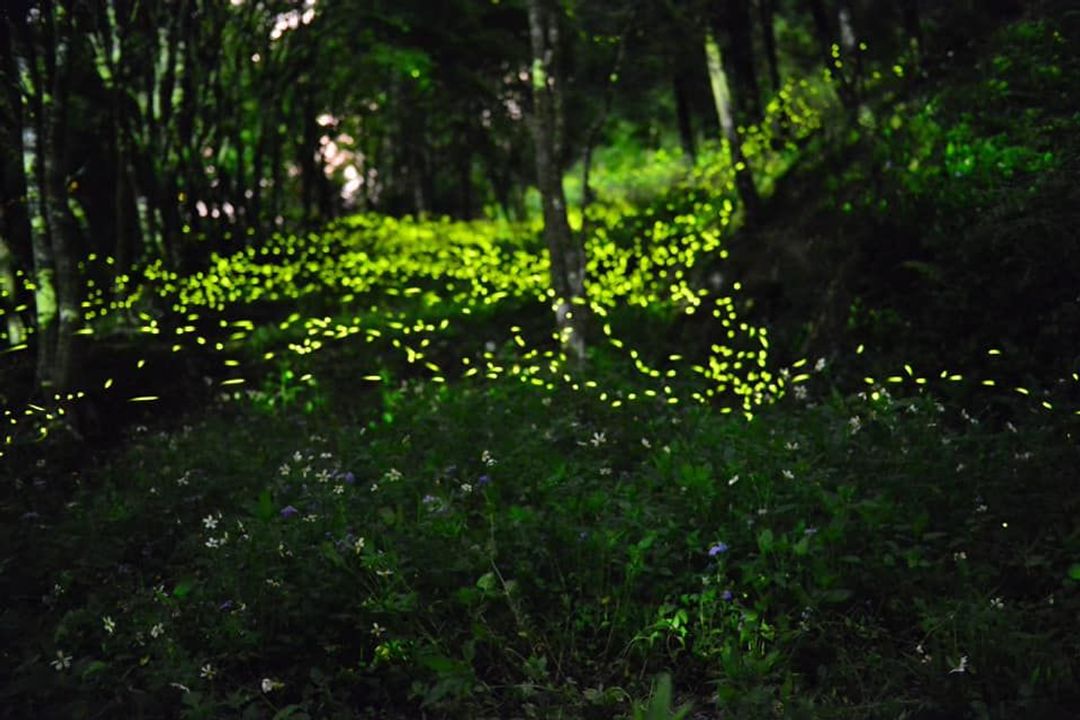 山川密境露營區｜親子露營、山林戲水池、沙坑-5