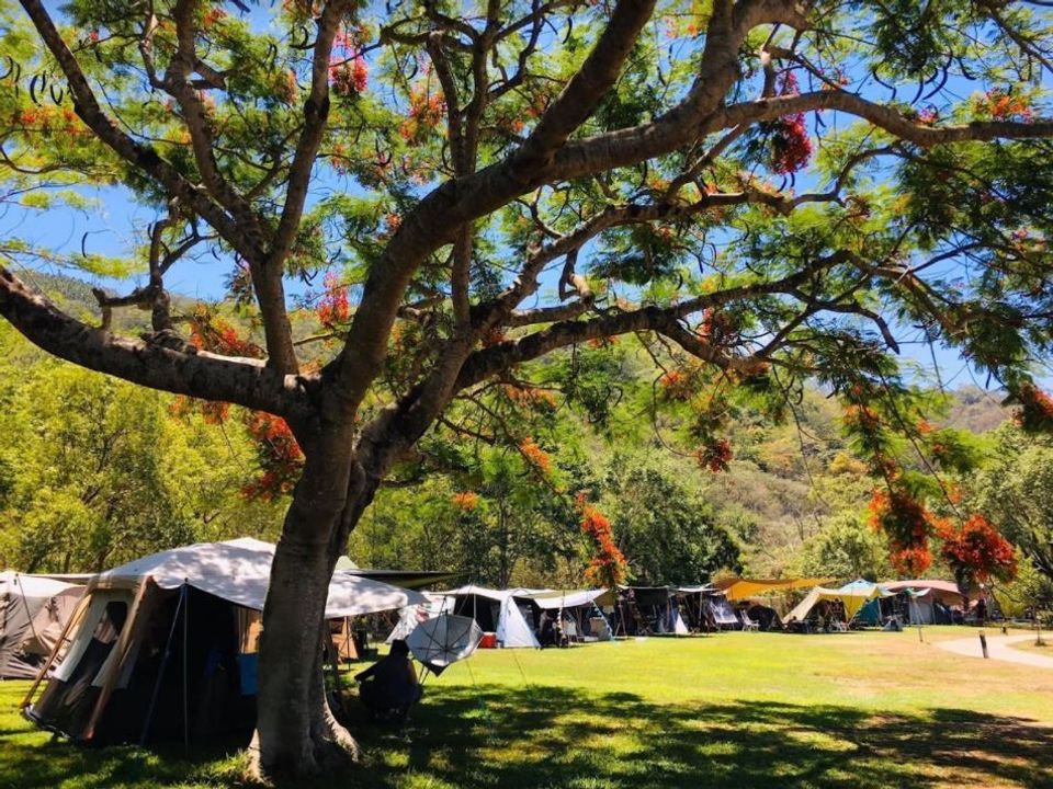 南投露營 山嵐謐靜露營民宿