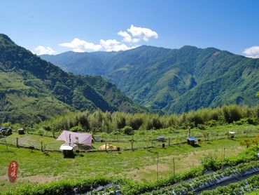 【新竹】泰里埔露營區｜採果體驗+壯闊山景！