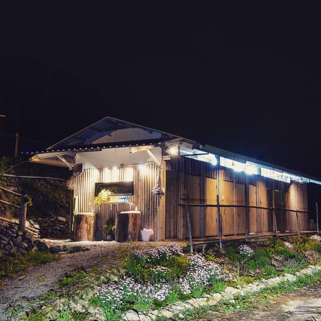 泰里埔露營區｜高海拔避暑、車宿友善、療癒系山景
