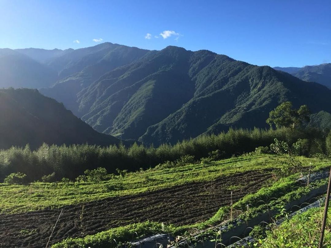 泰里埔露營區｜高海拔避暑、車宿友善、療癒系山景