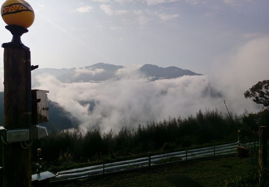 泰里埔露營區｜高海拔避暑、車宿友善、療癒系山景