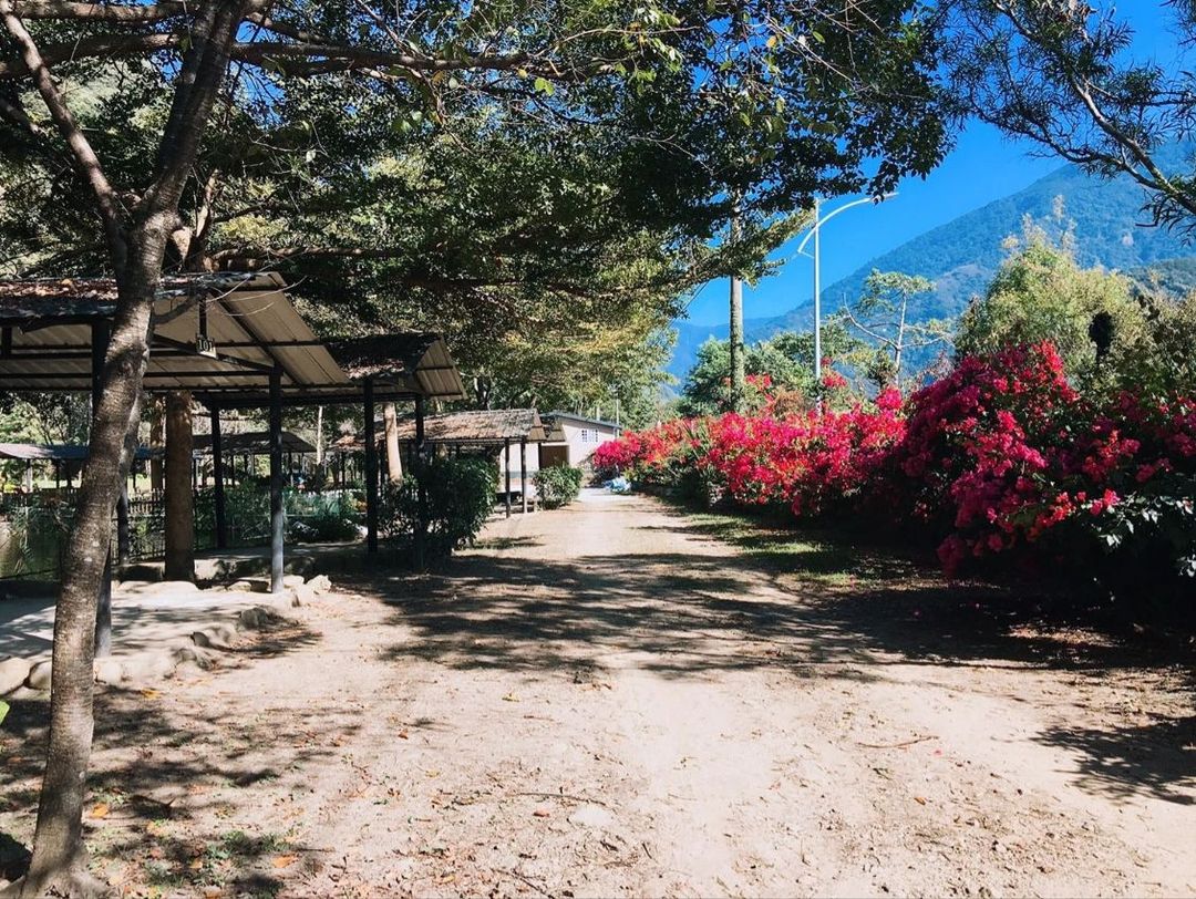 都瑪斯民宿露營區-5