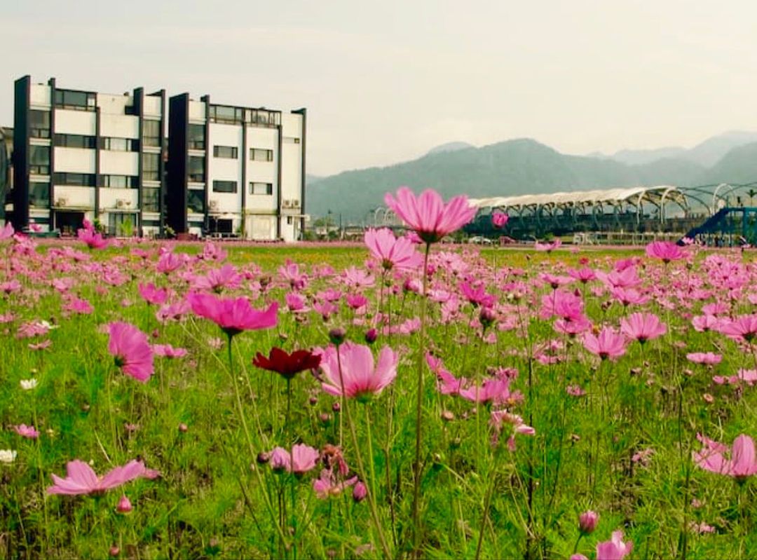 小別墅田野花季